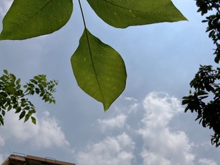 58439567-C2BD-47D9-B88E-374083562BB1/L0/001