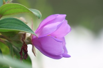 DD8950C9-6024-4FF2-AD09-18683D45981A/L0/001