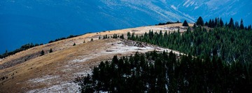 DSC_0886-2.jpg