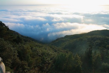 云海11