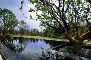 oIMG_2680.jpg