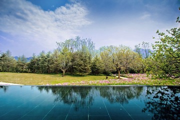 IMG_2763.jpg