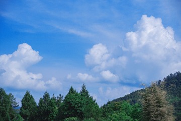6F927482-25F6-4F4D-8D4B-4F95B5F106DF/L0/001