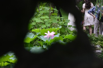 20F516DF-F9B7-4730-8710-4D4F9749364C/L0/001