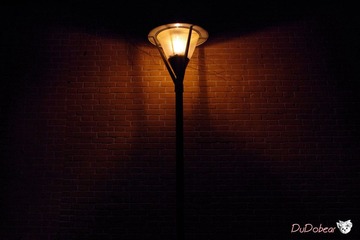 IMGP1222.jpg
