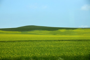 164641