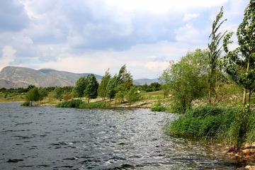164633