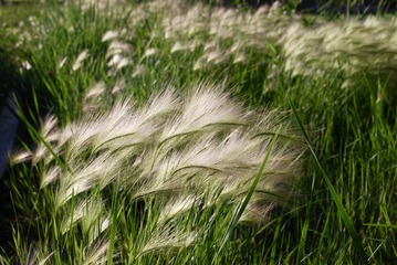 8D220805-799F-48C7-8258-69EF9570D5AB/L0/001