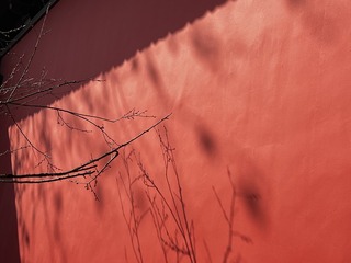 01C0D70A-C302-45D6-AD6F-2670125129E1/L0/001