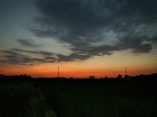 R0011217.jpg