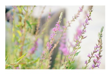 375529D2-BA55-4B80-8097-C86DFF8DB5D1/L0/001