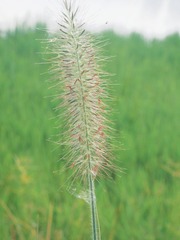 8CD548CC-5A18-41F0-8549-D8F5AC6BDD1F/L0/001