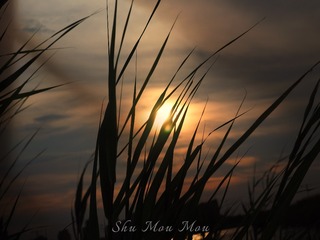D3657A7F-48BE-4296-AC5A-7E0BFE2CE18C/L0/001