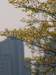 60B13C57-5065-4B6A-9D21-B568E01B315F/L0/001