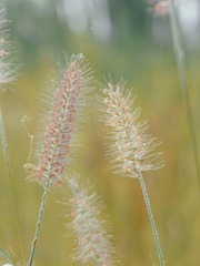 FF6F1C76-4D64-494F-BBEC-74C81D567D61/L0/001