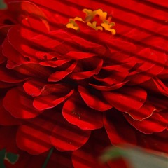 D7681037-7810-4490-9598-CF16E1720CAA/L0/001