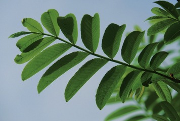 F77A58F6-E891-42D8-94EC-CD8D1CFF6E25/L0/001
