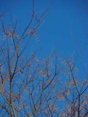 19E7D3DB-62AB-4FE4-B181-6C47661B412F/L0/001