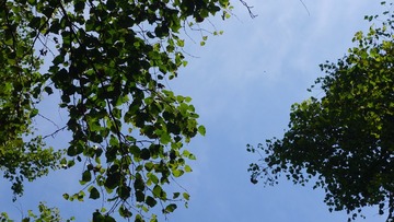 F829038B-C3C4-4311-982E-7A84D1FE6AA3/L0/001