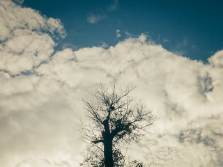 3124668B-0FD5-472D-B0BC-4E1A41F185F2/L0/001