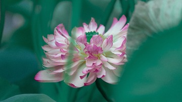 2BB6C5A9-8455-4963-B259-070515891187/L0/001