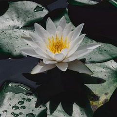75AB6E6B-5939-484C-B2C6-C2704ED154F1/L0/001