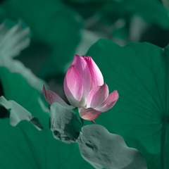 1899F9ED-A701-4227-AD33-F92F3BF4B71A/L0/001
