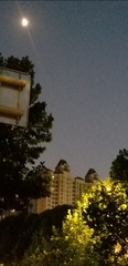 156085