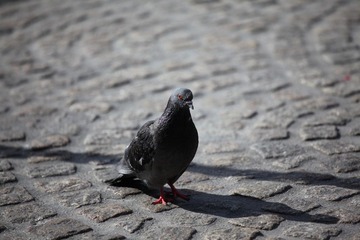 IMG_3998.JPG
