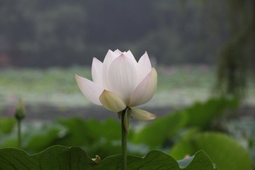 IMG_4040.JPG