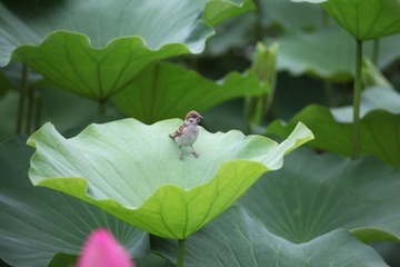 IMG_4061.JPG