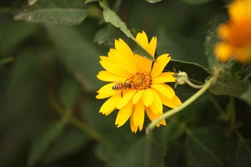 IMG_4102.JPG