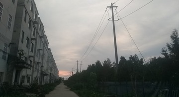 318519