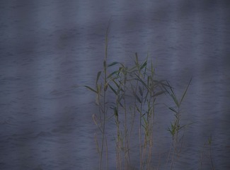 658B901E-B601-4AD9-A376-72FADBE0D310/L0/001