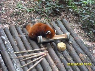 4BD8FDFA-AAE1-49A9-91C9-2BD414019EB9/L0/001