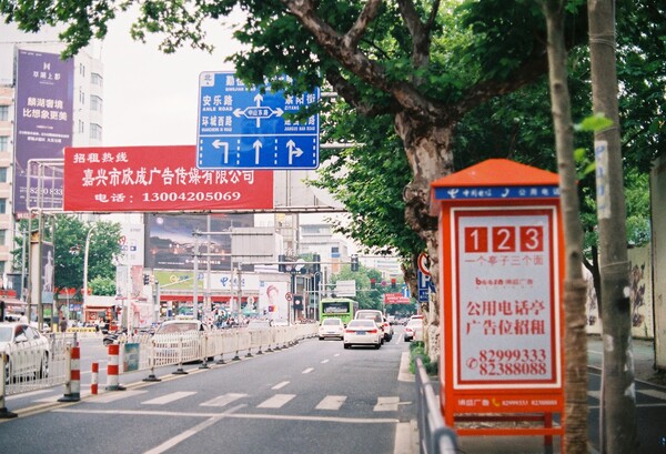 391905691.jpg