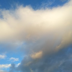 607