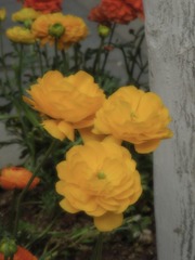 B84D9EEE-6F46-43DB-A3AB-F09A7F320214/L0/001