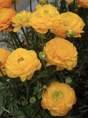 DAFB70A3-1884-42FE-A608-575B797D0590/L0/001