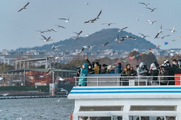 D88860FD-F9AF-43FE-BBC3-49ABC43B02EF/L0/001