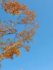 6AB84BD2-0714-4ABD-BC84-C7383402988C/L0/001
