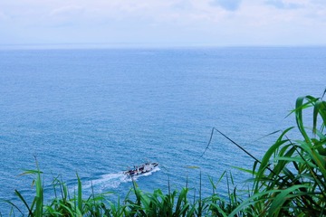 11654049-84A1-435F-8A8A-A656993016AA/L0/001