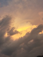 114806