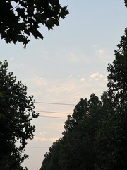 7758EFBA-A1E8-463D-BF79-5A522E7B964A/L0/001