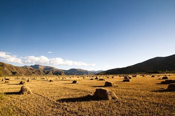 _DSC3480.jpg