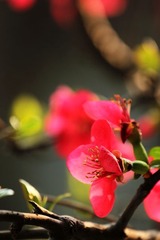 IMG_0745.jpg