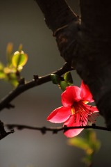 IMG_0749.jpg