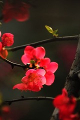 IMG_0755.jpg