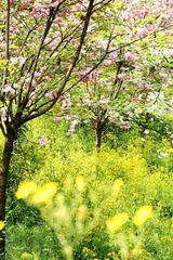 IMG_0009.jpg