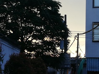 1275247